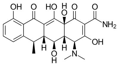 LL-37 peptide chemical illustration